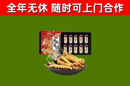 珠晖区烟酒回收冬虫夏草礼盒.jpg