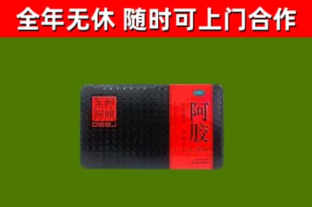 珠晖区回收阿胶