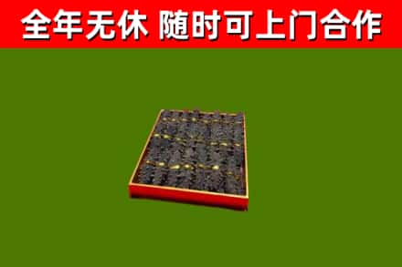 珠晖区回收海参